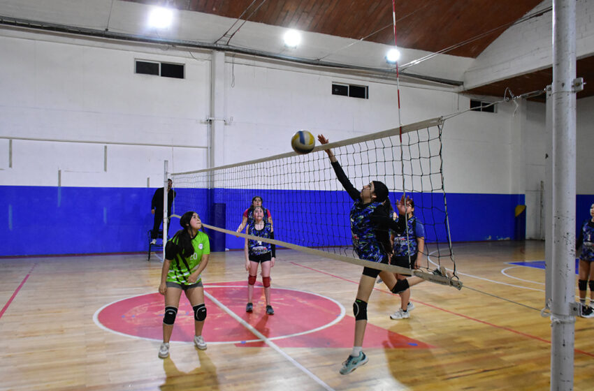 La Liga Formativa de Voleibol comienza a definirse