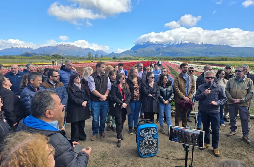 Provincia participó de la Apertura de Temporada de Tulipanes 2025