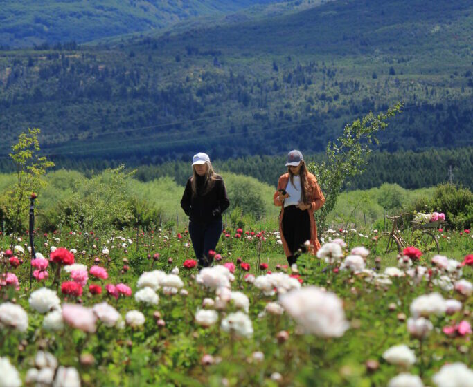  Chubut ofrece una gran variedad de propuestas y promociones para este fin de semana largo