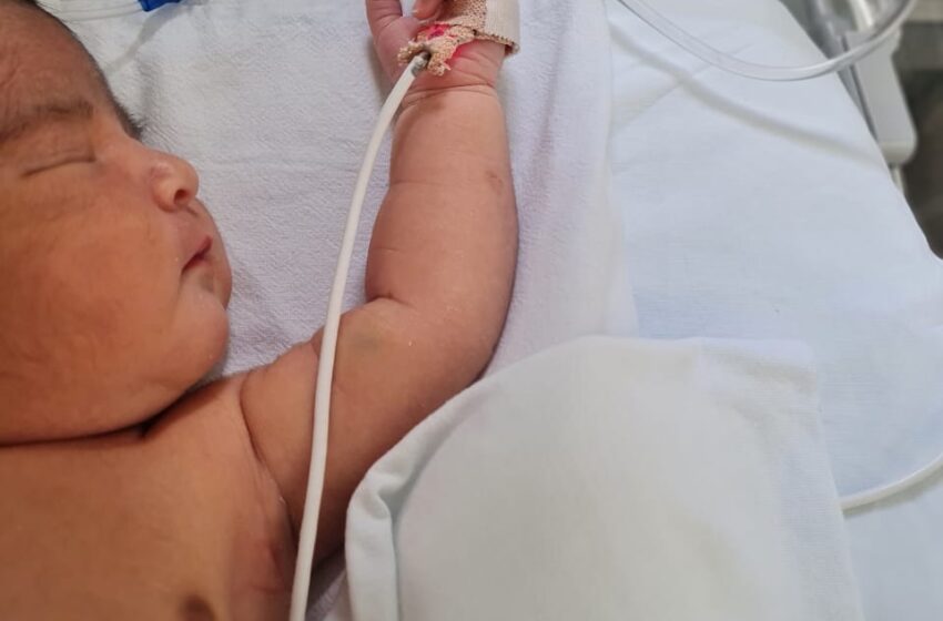  Semana del prematuro: habrán actividades para familias y profesionales de la salud 