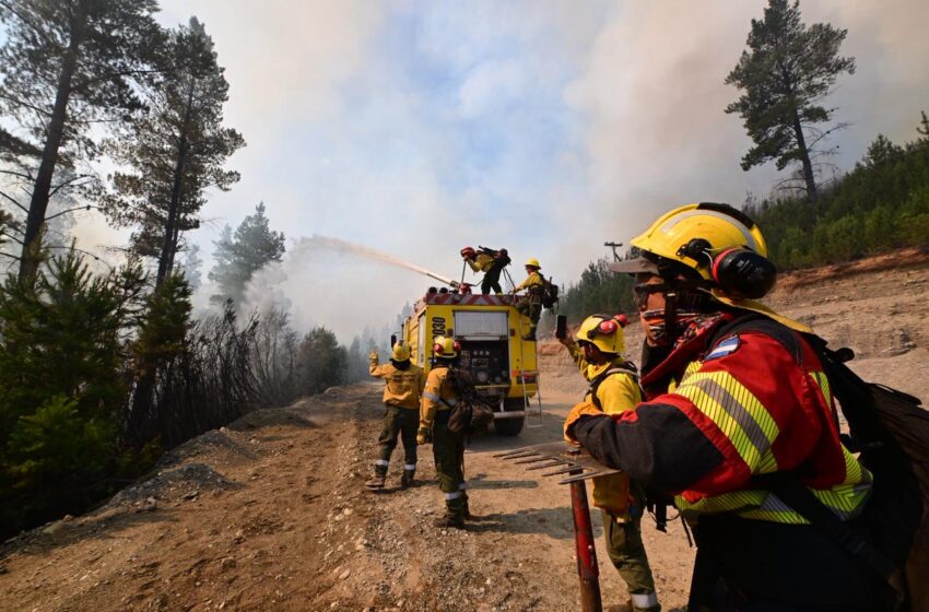  Con más de 230 personas y 6 medios aéreos, continúa el fuerte operativo para controlar el incendio en Puerto Patriada