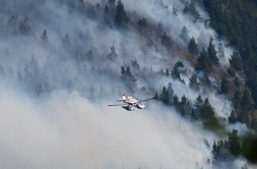  Incendios en la Cordillera: Provincia sostiene el operativo con un fuerte despliegue de brigadistas y monitoreo permanente
