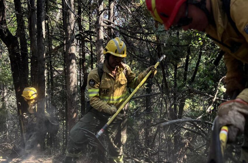  Incendio en el Parque Nacional: bomberos voluntarios de Chile se suman a los más de 500 brigadistas provinciales y nacionales
