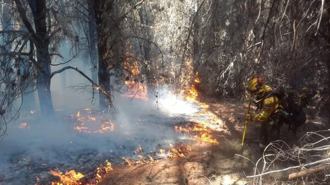  El Gobierno pretende incluir en sesiones extraordinarias la declaración de emergencia por los incendios