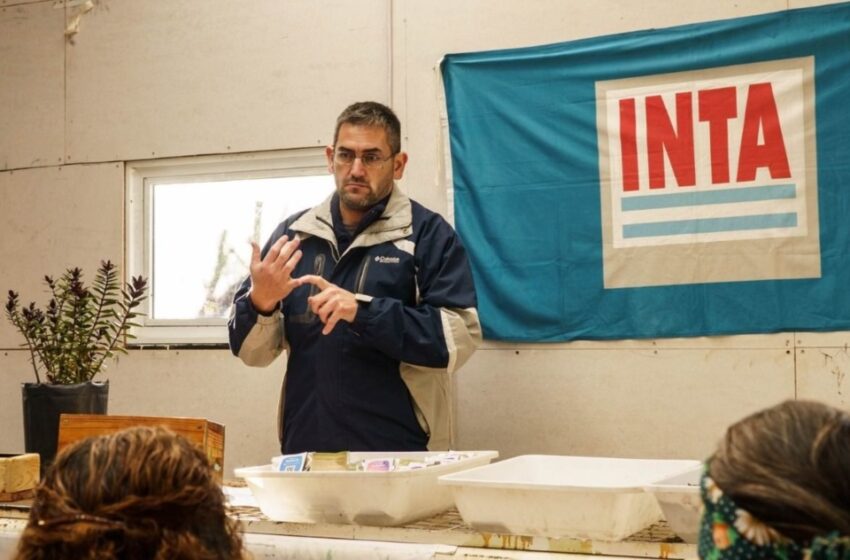  INTA participará de la Rural y destaca el Congreso Argentino de Producción Animal en Patagonia
