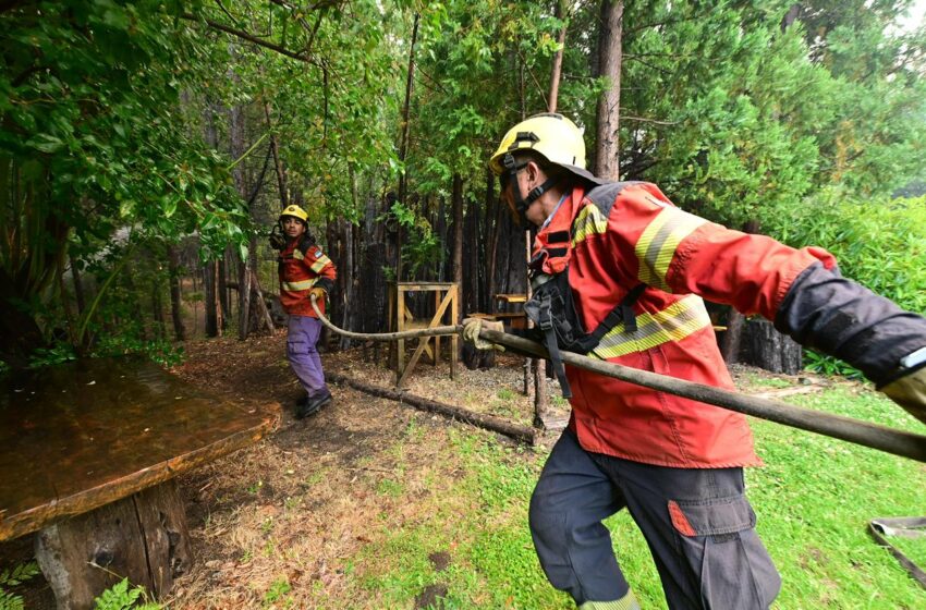  Incendios forestales en Chubut: las lluvias contribuyen a las tareas de combate que continúan realizando cientos de brigadistas y medios aéreos