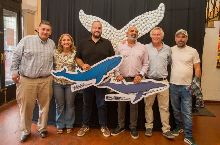  El Municipio presenta en Puerto Madryn el documental “SEI, la ballena desconocida”To: