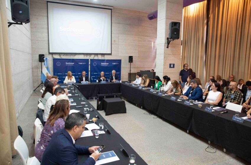  Chubut participó de la primera reunión del año del Consejo Federal de Drogas
