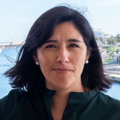  Risso cuestionó la reforma de la Ley de Glaciares y advirtió sobre su posible inconstitucionalidad