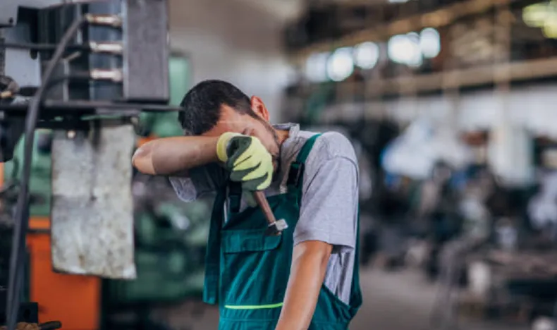  Ocho mil kilómetros de mentira