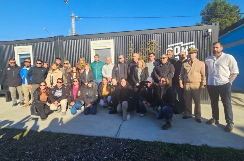 Se anunció en Comodoro el permiso ambiental para el desarrollo de snorkel, buceo y nado con lobos marinos como producto turístico*To: