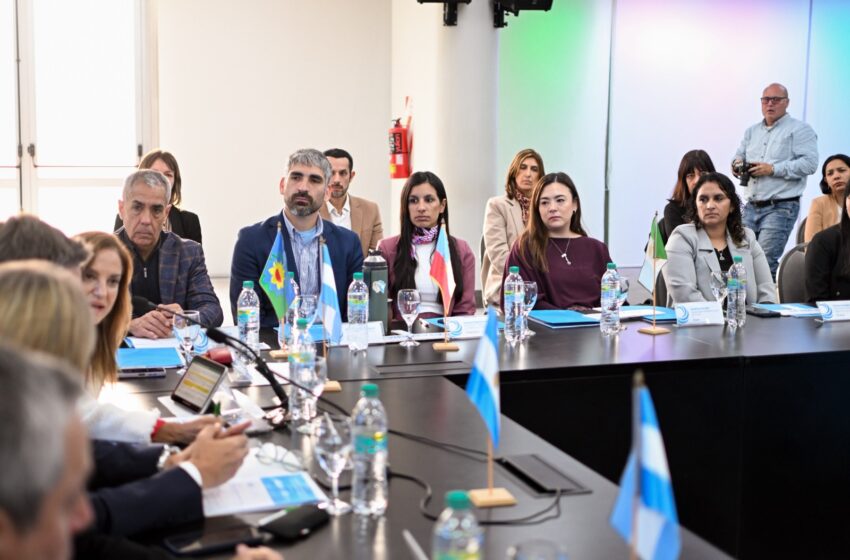  Chubut participó de la Asamblea del Consejo Federal para la Transparencia con eje en la innovación y la protección de datos