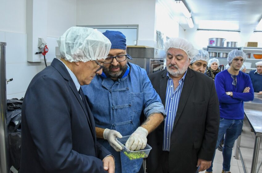  La temporada 2026 de extracción de aceite de oliva culminó con excelentes resultados