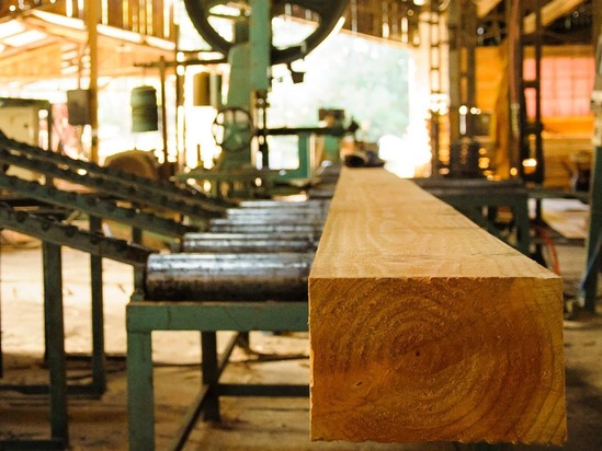  Chubut participa del Censo Nacional Foresto Industrial 2026