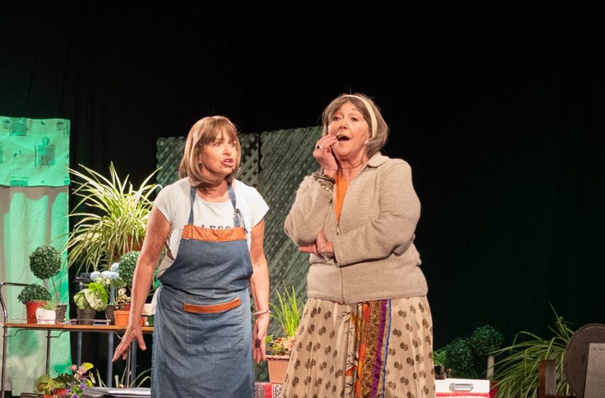  Arte, teatro y show de magia: la agenda cultural de Rada Tilly para este fin de semana
