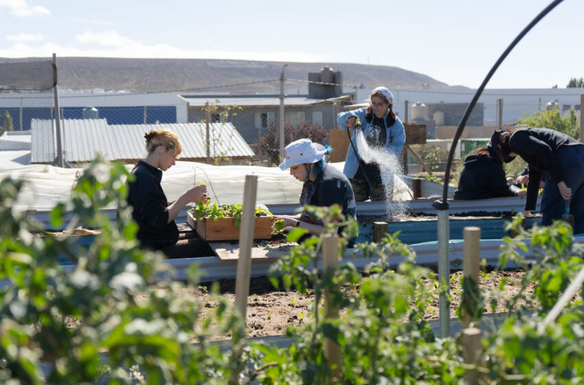  El Centro Agroecológico Municipal propone una práctica abierta a la comunidad