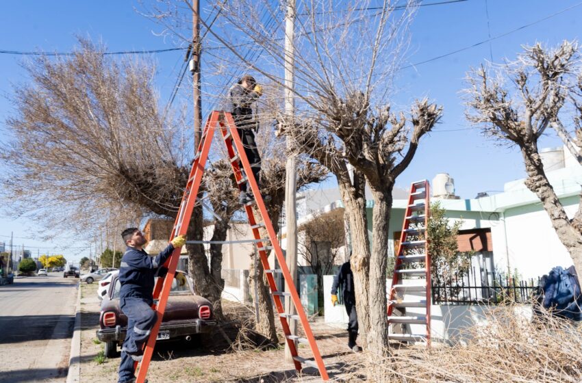  El Municipio continúa con el mantenimiento integral de espacios verdes en distintos sectores de la ciudad