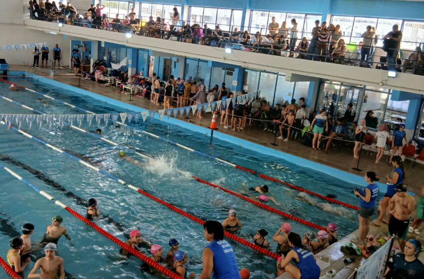  Natación: Las categorías formativas del equipo municipal compitieron en Gaiman