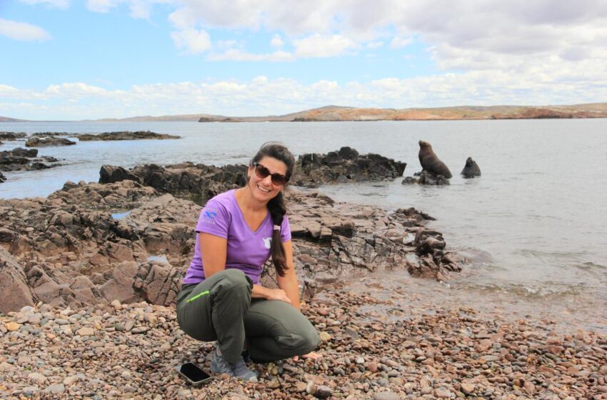  Chubut garantiza la continuidad de cuatro proyectos de investigación científica