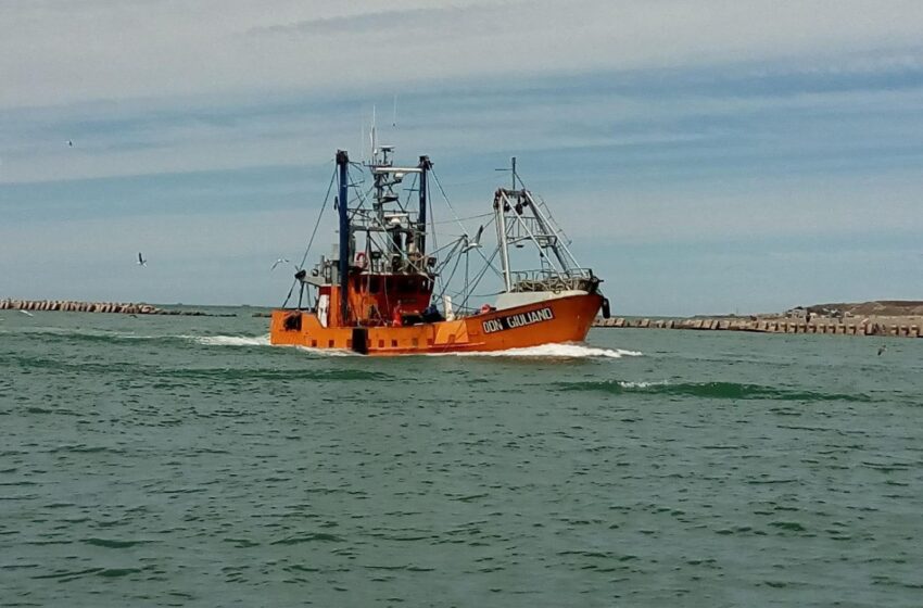  La Secretaría de Pesca definió la fecha para el inicio de la prospección de langostino en aguas provinciales